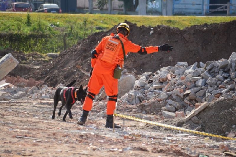 Foto: Divulgação Corpo de Bombeiros