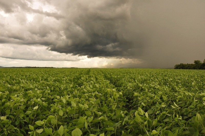 Os volumes previstos deverão oscilar entre 20 e 45 mm na maioria das regiões - Foto: Fernando Dias