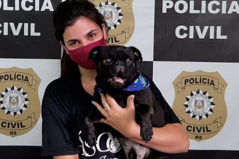 Foto: Polícia Civil / Divulgação