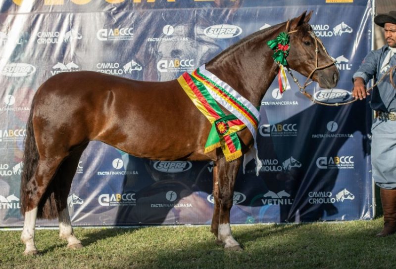 Foto: Leandro Vieira/Divulgação