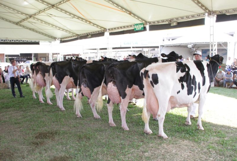 Foto: JM Alvarenga / Divulgação