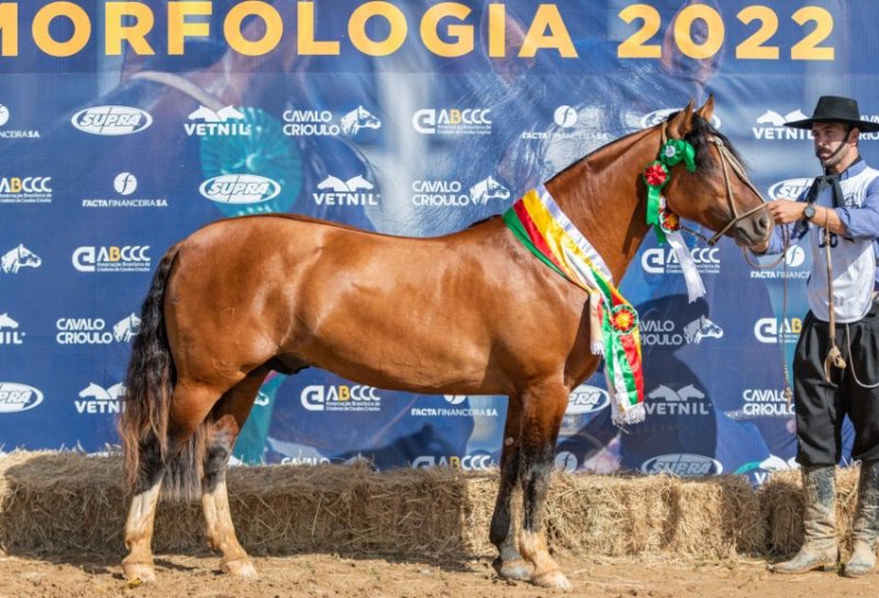 Foto: Felipe Ulbrich / Divulgação