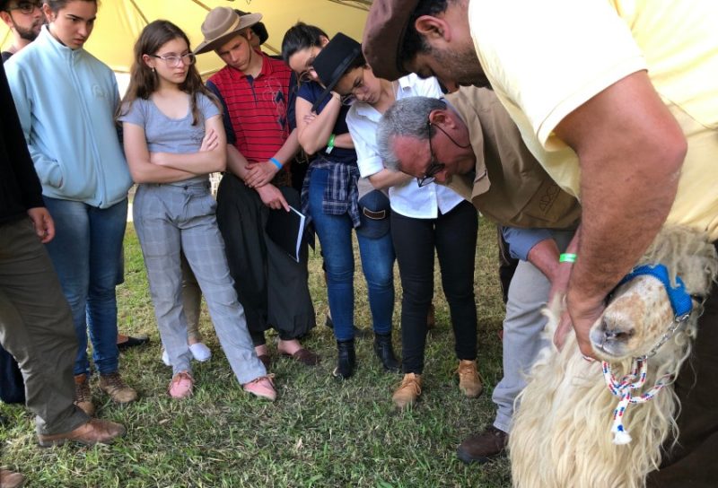 Foto: Patrícia Lima/Divulgação