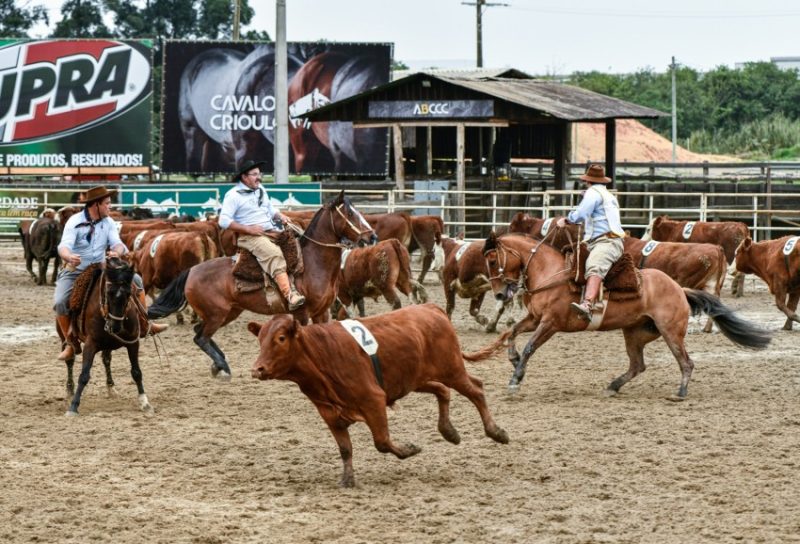 Foto: Leandro Vieira/Divulgação