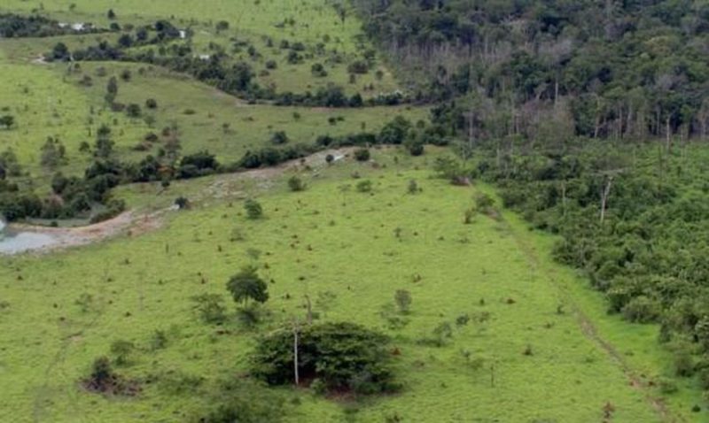 Foto: Ministério do Meio Ambiente