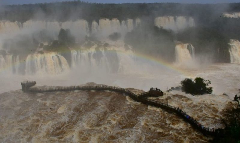 Foto: Edi Emerson/Parque Nacional do Iguaçu