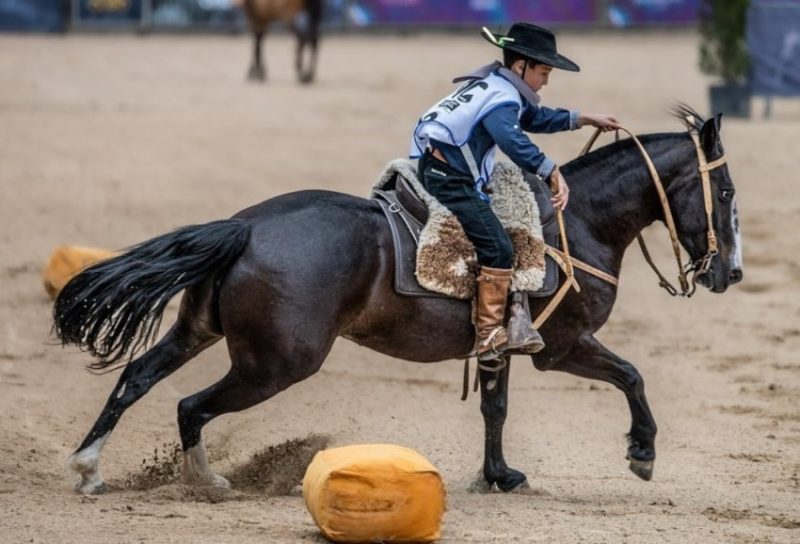 Fotos: Giácomo Góes/Divulgação