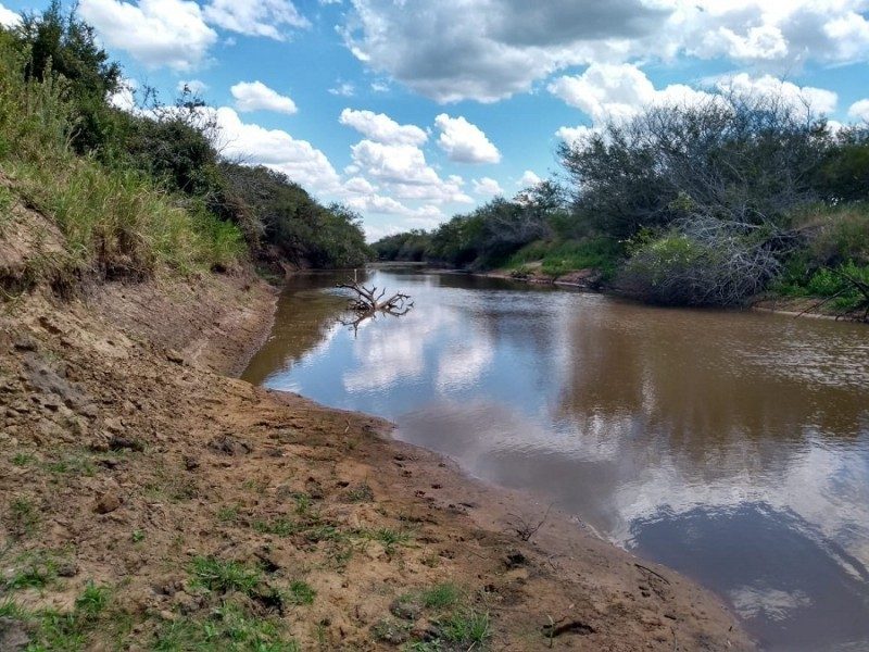 Foto: Arquivo | Divulgação