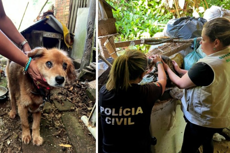 Foto: Polícia Civil