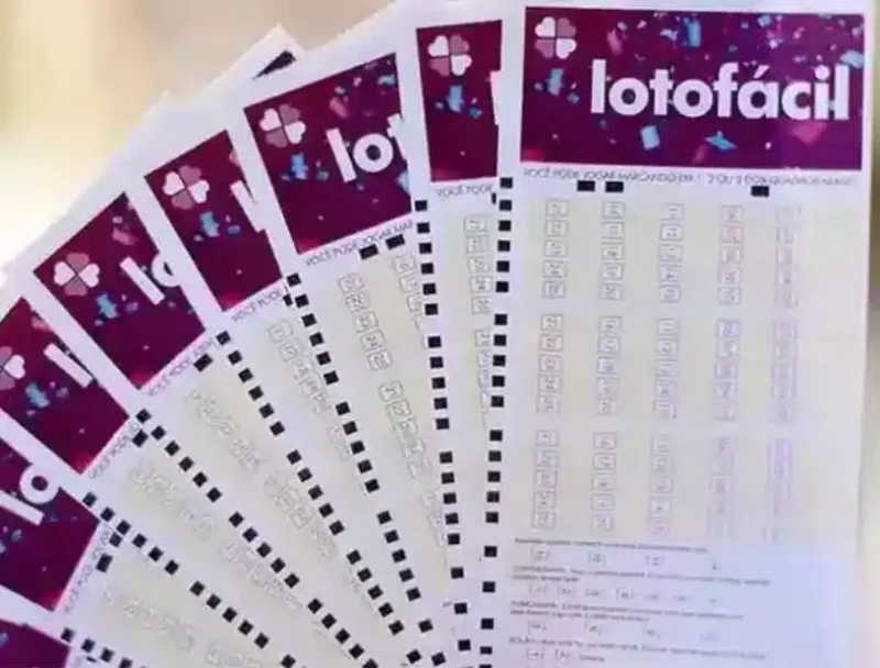 Lotofácil: bolão ganha prêmio milionário no concurso 3290