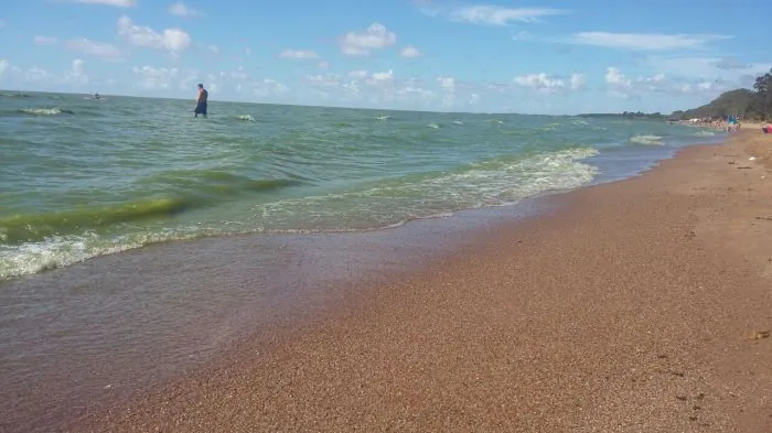 Bióloga afirma que sequência de calor favoreceu proliferação de algas na Lagoa dos Patos