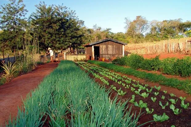 Produção de hortigranjeiros atrai visitantes à Fafecs