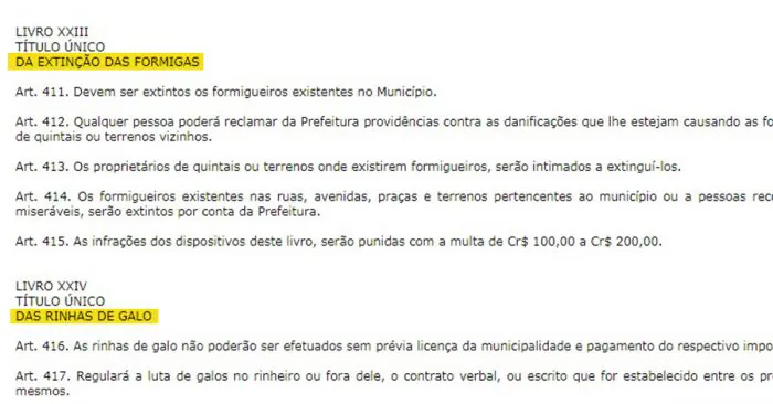 Código de posturas de Camaquã regulamenta rinhas de galo e prevê extinção de formigas