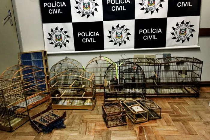 Polícia Civil cumpre “Operação Ninho 2” em Camaquã e Chuvisca