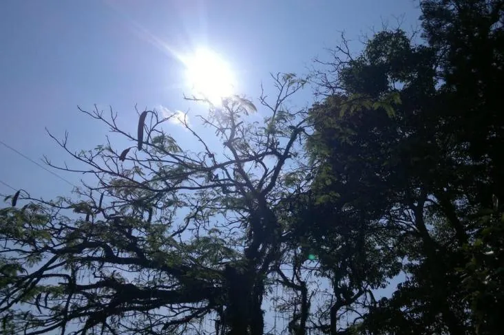 Calor deve marcar a segunda-feira no estado