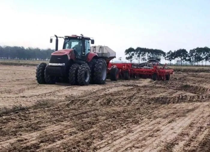 Começa a semeadura do arroz na Zona Sul do Estado