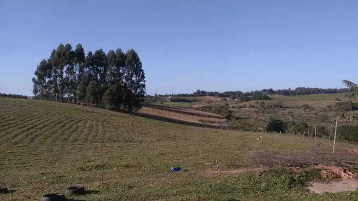 Domingo de tempo bom e temperaturas amenas em Camaquã
