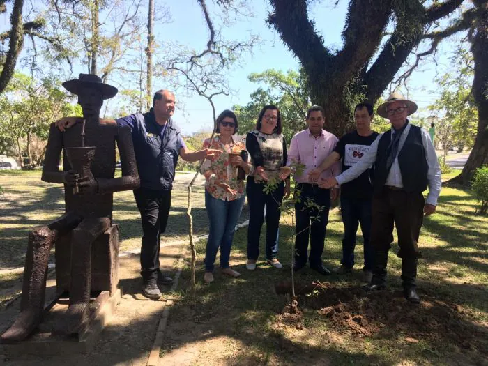 Grupo planta muda de erva-mate na “Praça dos Macacos”