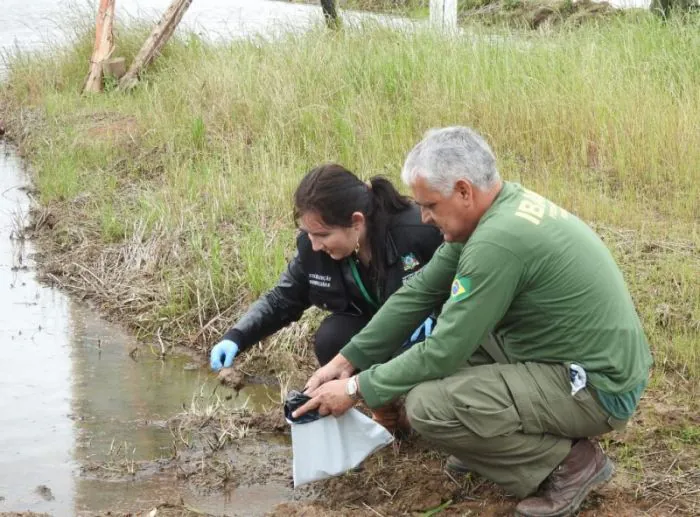 Ação conjunta descobre agrotóxicos proibidos e contrabandeados em lavouras de arroz