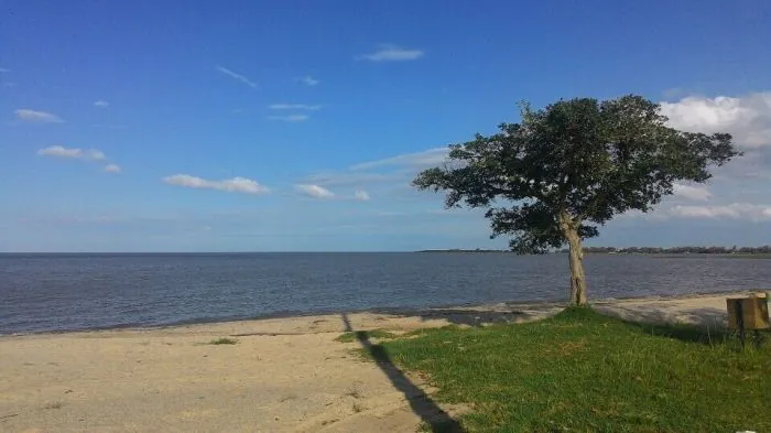 Praia da região tem condições impróprias para banho
