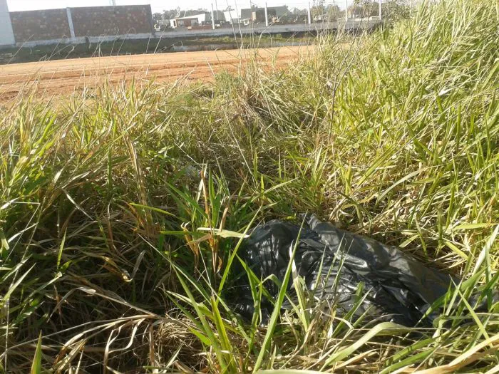 Animais mortos são jogados em terreno no bairro Vila Nova