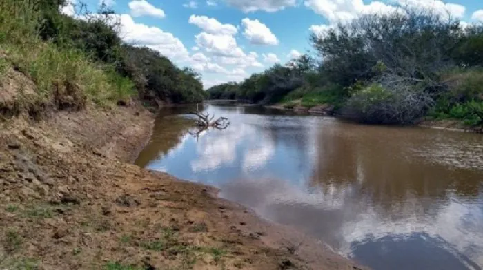 Rio Grande do Sul divulga relatório sobre estiagem