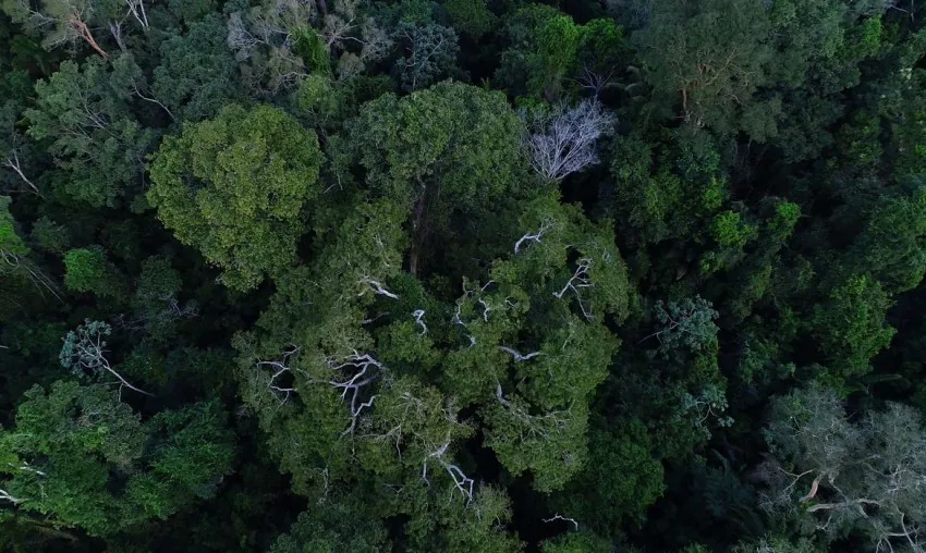 Programa vai gerar renda ao produtor rural que preservar meio ambiente