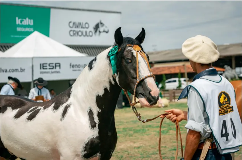 Mancha Crioula 2022 já tem data confirmada de retorno