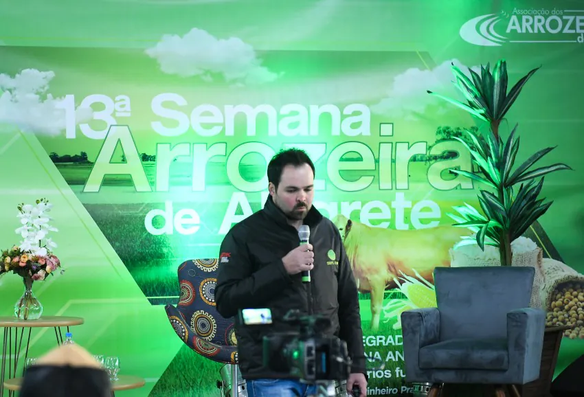 Especialistas salientam que exportação de arroz é um caminho sem volta
