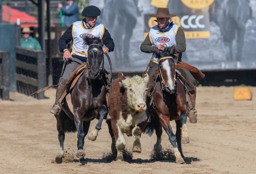 Paraná sedia Classificatória ao Freio de Ouro das regiões 5, 7 e 8