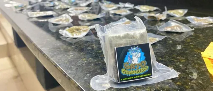Denarc apreende tele entrega de drogas destinada a bairros nobres da capital