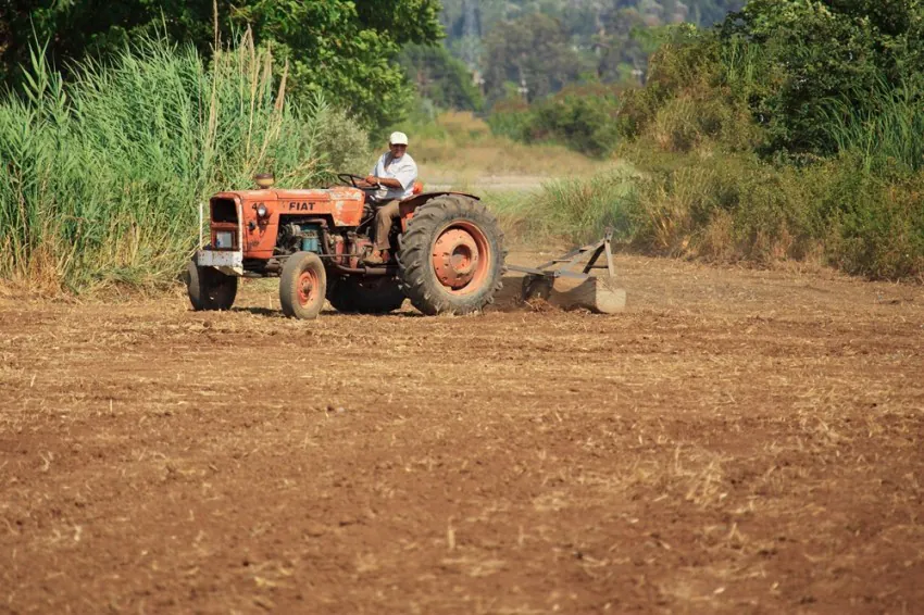 Quase 40% dos agricultores familiares gaúchos do grupo 2 já sacaram auxílio