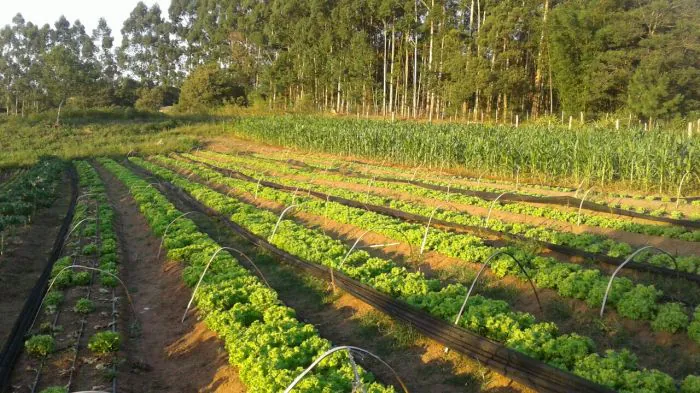 Quinta começa com sol, mas chuva se aproxima do Estado