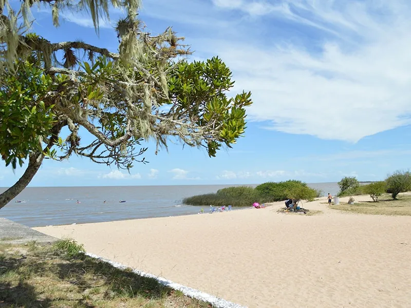 Camping Municipal de São Lourenço do Sul busca parcerias para desenvolvimento de atividades turísticas