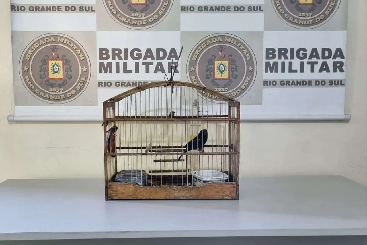 Brigada Militar apreende cocaína e resgata pássaro silvestre em Turuçu