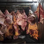 Suspeitos de vender carne estragada têm prisão preventiva decretada