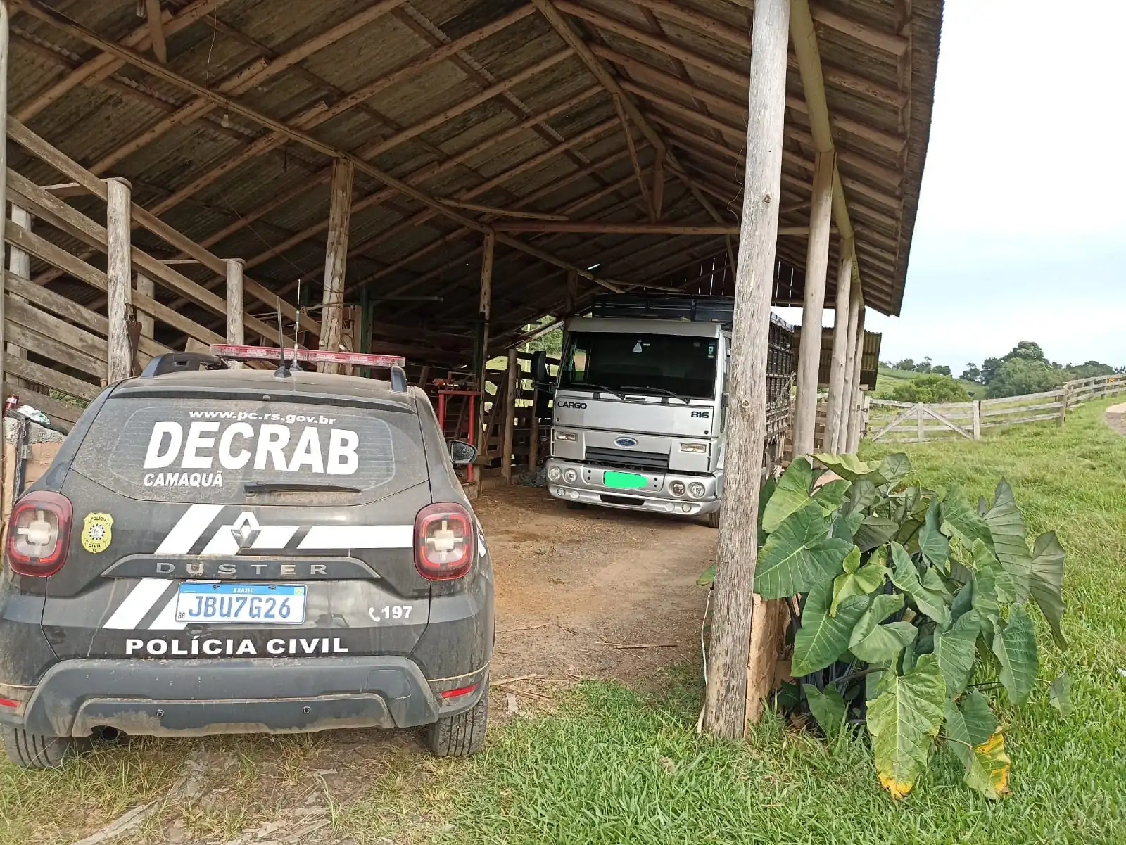 Decrab Camaquã identifica grupo criminoso responsável por furto de gado em General Câmara. Foto: Divulgação | PC