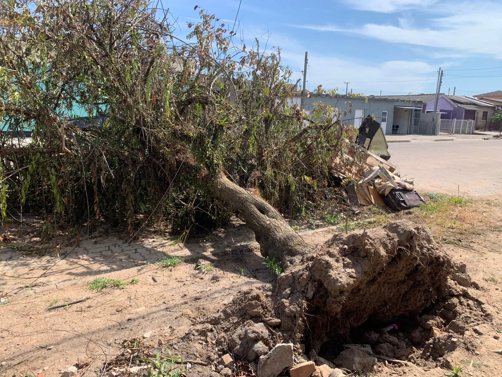 Árvore caída, descarte irregular de lixo e poste tombado causam transtornos aos moradores do bairro Viégas. Foto: Valério Weege | Acústica FM