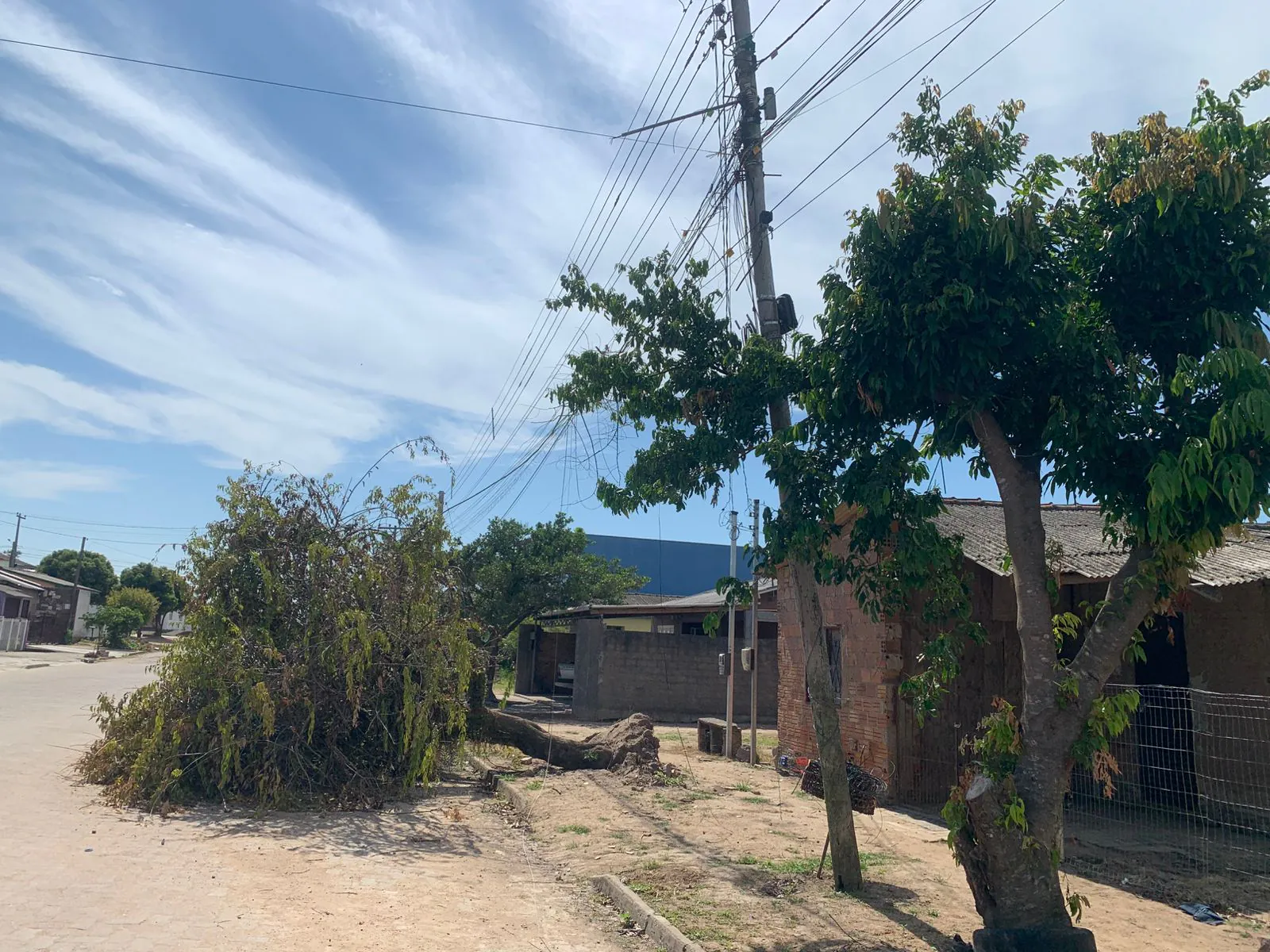 Árvore caída, descarte irregular de lixo e poste tombado causam transtornos aos moradores do bairro Viégas