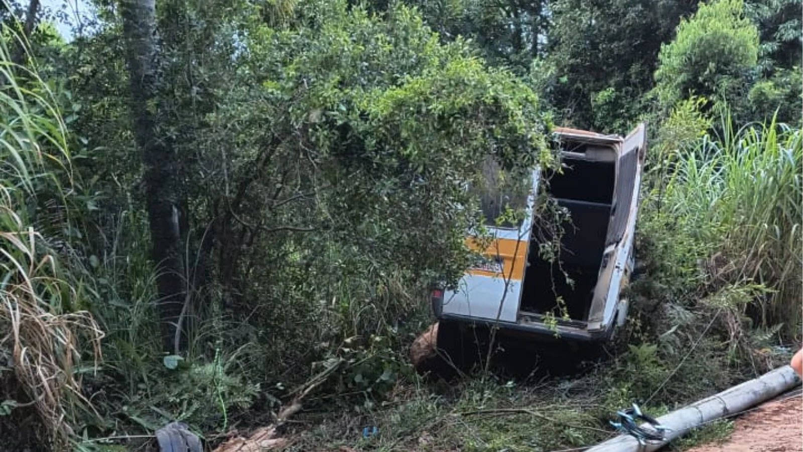 Acidente com van escolar deixa cinco crianças feridas em Dom Feliciano