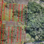 Governo Federal formaliza doação de terreno para novas moradias em Encantado (RS)