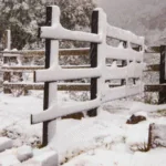 Inverno Antecipado: massa de ar frio traz vento gelado e risco de neve ao sul do Brasil
