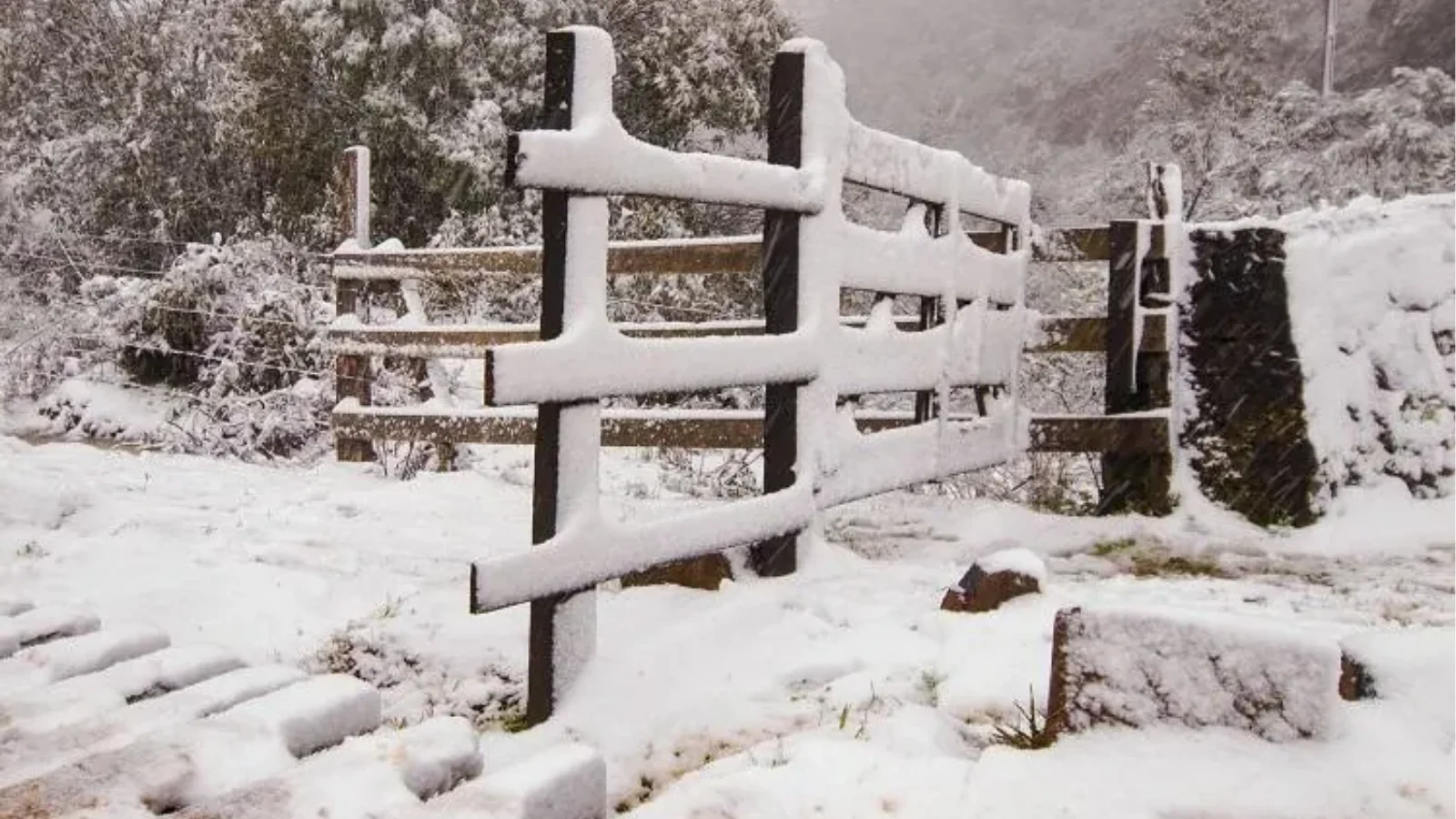 Inverno Antecipado: massa de ar frio traz vento gelado e risco de neve ao sul do Brasil