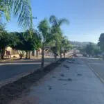 Avançam as obras de construção de canteiros na Major João Meirelles