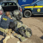 PRF prende homem com 37 quilos de skunk em Torres