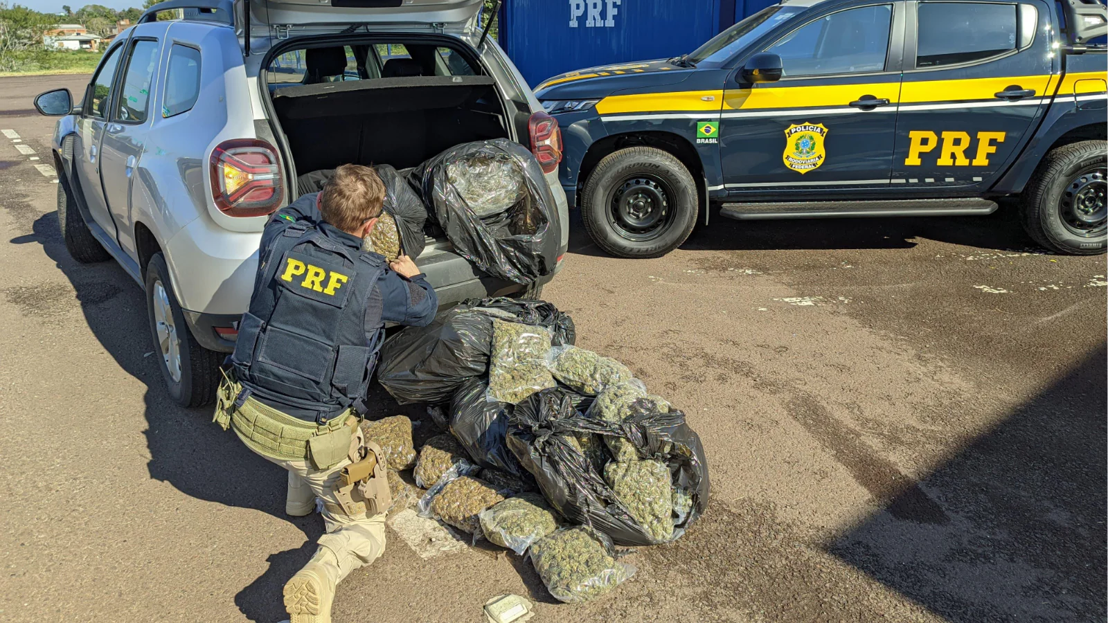 PRF prende homem com 37 quilos de skunk em Torres
