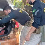 PRF apreende 87 quilos de maconha em Santo Antônio da Patrulha