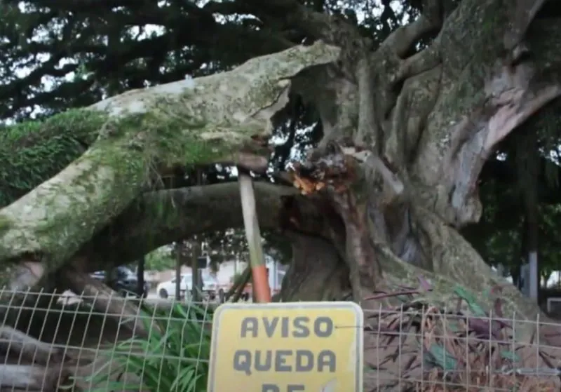 Foto: Reprodução/Prefeitura de Arambaré