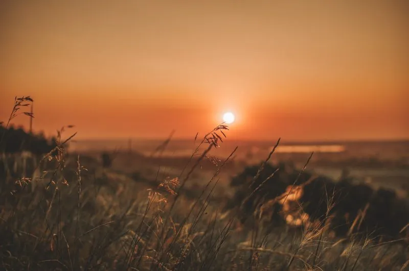 Horário de Verão: mais da metade da população diz que é a favor